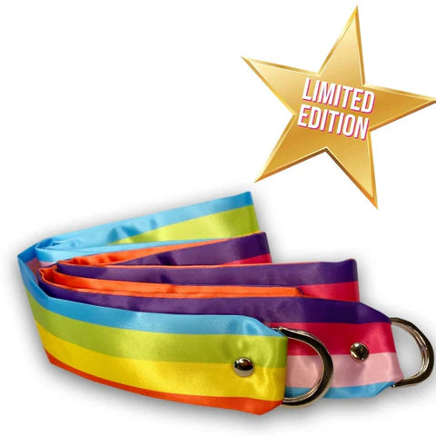 Rainbow Satin Bondage Ties